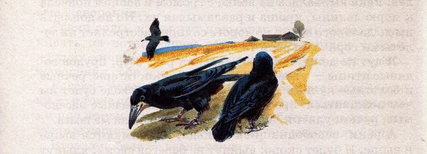 В. Бианки. Три весны В. Бианки. Три весны