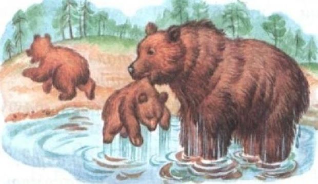 В. Бианки. Купанье медвежат